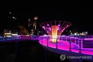 "시원한 밤바다 보며 떡볶이를" 동해 도째비야시장 12일 운영