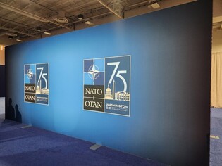 'Anything' South Korea can do for Ukraine's defense ability will be 'warmly welcomed': NATO official