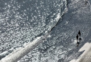 "힐링하며 강릉 밤바다를 걸어요"…'윤슬 감성투어' 운영