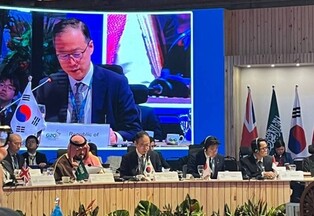 Senior foreign ministry official attends G20 meeting on development issues