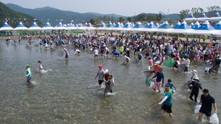 깨끗한 오십천에서 고기잡이체험 즐기세요…영덕서 황금은어축제