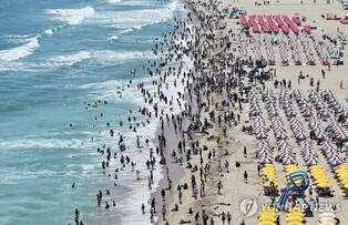 [전국 레이더] 장마 끝 '바다로 축제로'…해파리·상어 출현에 이안류 조심