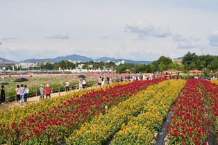양주시, 내달 개최 '천만송이 천일홍 축제' 부스 운영자 모집