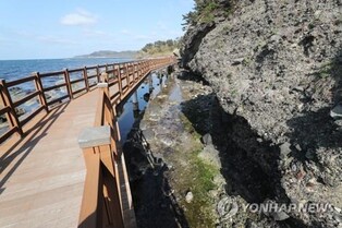 포항 호미반도, 유네스코 생물권보전지역 지정 추진