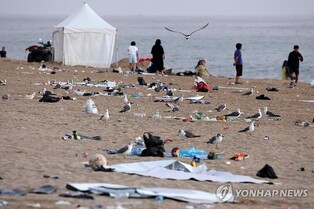 "피서객이 마구 버린 양심"…쓰레기 널린 경포해수욕장