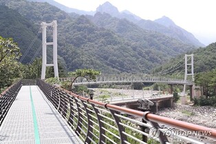 '속초 설악향기로' 새 관광명소로 부상…한 달간 4만명 방문