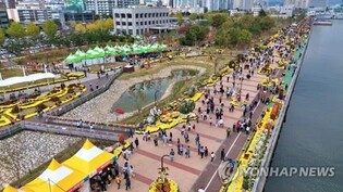 '가고파' 들어간 마산국화축제, 10월 26일 개막
