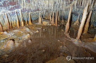 제주 용암동굴 훼손 막는다…주변 사유지 추가 매입