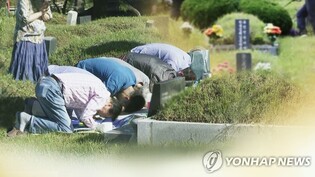 강릉시 청솔공원, 추석 당일 진입에만 3시간…"미리 성묘하세요"