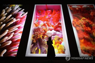 AI가 꾸는 아름답고 창의적인 꿈…레픽 아나돌 아시아 첫 개인전