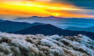 무주사진가협회, 반딧불축제 기념 '관광 홍보 사진전'