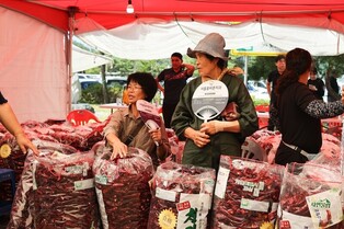 괴산 고추축제 개막…건고추 600g에 1만6천∼1만8천원