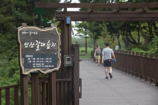 '도심서 숨 쉬는 작은 우주'…경기관광공사 추천 생태공원 6곳