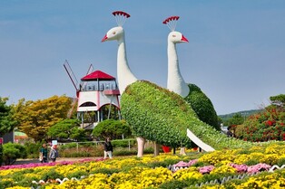 태안 안면도 꽃지해안공원서 내일 가을꽃박람회 개막