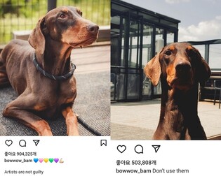 BTS 정국 "아티스트 죄 없다, 이용 말라"…뉴진스 염두에 뒀나(종합)