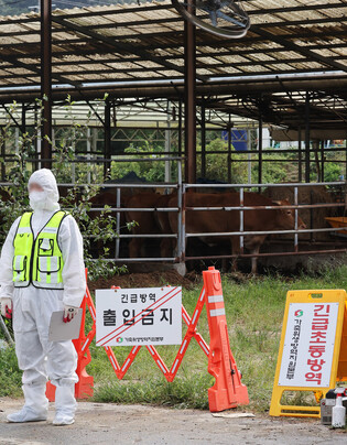 Outbreak of lumpy skin disease