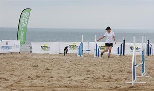 "10월엔 반려동물과 태안으로"…댕댕이랑 태안 가는 달 운영