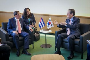 S. Korean, Cuban FMs' 1st talks