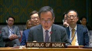 (LEAD) S. Korean FM cites N. Korea-Russia arms transactions as case of UNSC 'limitations'