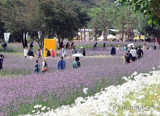 낭만 가득한 꽃길서 힐링을…인제 가을꽃축제 개막 D-2