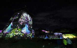 Media art at Hwaseong