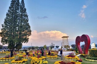경주 고분서 즐기는 정원축제…황금정원 나들이 개최