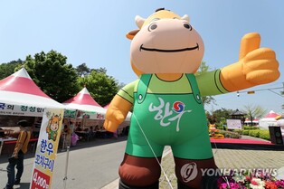 '맛과 건강이 한 자리에' 홍천 인삼·한우 명품축제 내일 개막