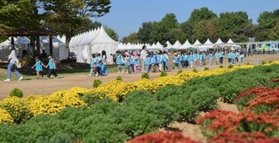 [인천소식] 수도권매립지 야생화단지서 13일까지 국화축제