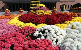 '가을향기 가득' 강원도립화목원, 오는 12일부터 국화 전시회