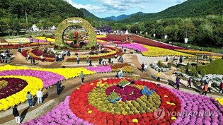 '꽃길만 걷자' 인제 가을꽃축제, 개막 9일 만에 10만명 돌파
