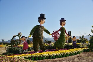 마산 앞바다 배경으로 16만5천송이 국화 풍성…26일 축제 개막