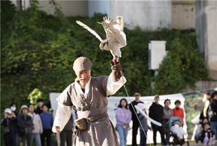 Seongdong-gu to Host ‘Eungbong Falconry Festival’ on Oct. 19