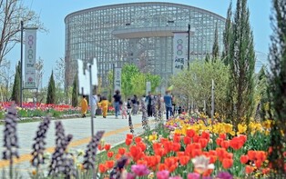 '전통이 세록세록' 세종수목원서 19일부터 13일간 가을꽃 전시회