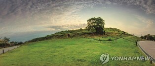 경남도·5개 시군, 가야고분군 세계유산 등재 1주년 공동기념식
