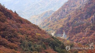 울긋불긋 단풍 '절정' 시작된 설악산…'삐끗' 사고도 잇따라