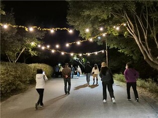 천안시, 수도권 관광객 대상 야간경관 투어버스 운영