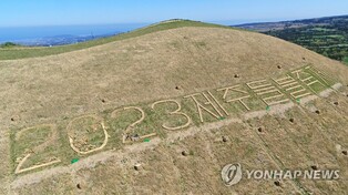 '들불축제 오름 불놓기' 모락모락…"불놓기 폐지는 권한남용"