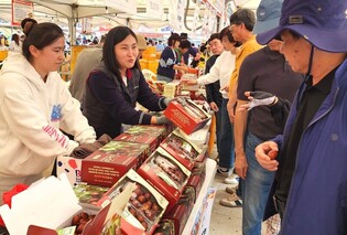 보은대추축제 농산물 판매액 65억원 돌파
