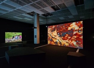Korean Artist Prize exhibition spotlights 4 finalists