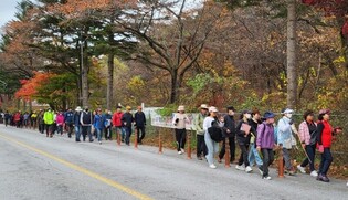 "절정의 속리산 단풍 즐겨봐요" 내달 2일 둘레길 걷기 축제