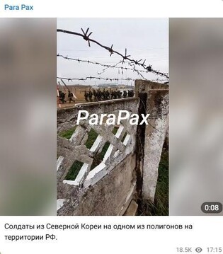 Videos, satellite imagery show N. Korean soldiers allegedly in Russia: report