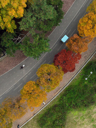 Autumn at Olympic Park