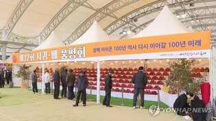 폭염에 작황 불량 탓…충남 예산군, 황토사과축제 취소