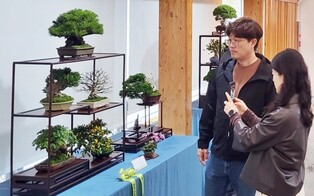 [게시판] 국립세종수목원서 31일부터 나흘간 한국분재대전