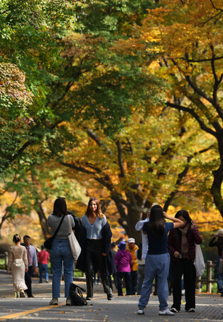 Autumn colors