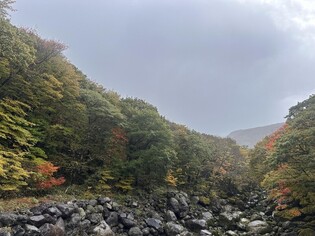 제주 한라산에 첫 단풍…관측 사상 가장 늦었다