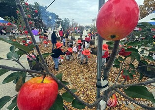 '사과 주산지 부상' 홍천서 사과축제 개막…체험 행사 등 다채