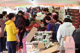 '오감으로 즐겼다'…양구군 펀치볼 시래기사과축제 성료