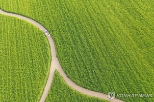 인구 5만의 고창군, 생활인구는 31만여명…꾸준한 증가세