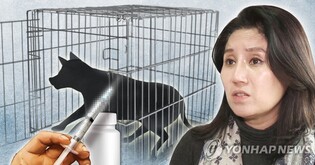 Appeals court reduces sentence for animal center chief over euthanizing stray pets